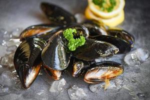 råa musslor med örter citron och mörk tallrik bakgrund - färska skaldjur skaldjur på is i restaurangen eller till försäljning på marknaden mussel skalmat foto