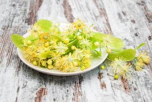 tallrik med lindblommor foto