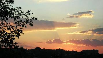 solnedgångshimmel. vacker himmel. moln. träd siluett foto