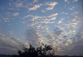 solnedgångshimmel. vacker himmel. moln. träd siluett foto