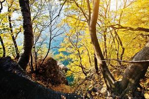 utsikt över bergsgapet vid gula trädskogen foto