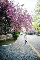 trottoar med kvinna medborgare gå tillbaka och körsbärsträd sakura foto