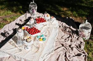 picknickbord med dekor på gräs med macaroon, jordgubbe och cup cake foto