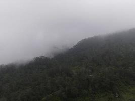 dimmigt dimmigt bergslandskap med granskog i merapi mount, Indonesien. foto