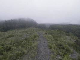 dimmigt dimmigt bergslandskap med granskog i merapi mount, Indonesien. foto