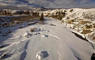 yellowstone park wyoming vinter snö foto