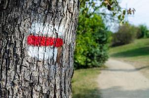 röd turistskylt på ett träd. detalj av turistmarkering på vandringsleder. märken målade på trädstammen foto