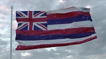 hawaii vinterflagga med snöflingor bakgrund. Amerikas förenta stater. 3d-rendering foto