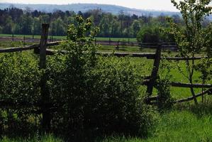 gammalt staket i naturen foto