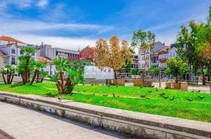 fontän i liten park och typiska färgglada byggnader hus på praca conde agrolongo torget i braga city foto