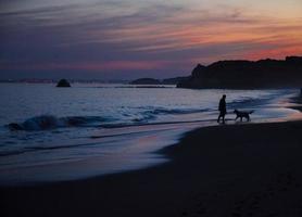 portugal, algarve, de bästa stränderna i portimao, praia da rocha, lila gyllene solnedgång över Atlantens vågor foto