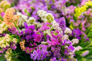 färgglada blommor som blommar vackert på vintern. foto