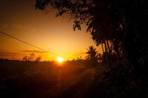 lantlig solnedgång i Indonesien med träd, stig och solljus foto