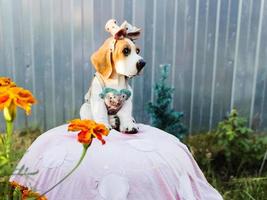 liten vacker konstgjord hund för att skydda trädgården foto