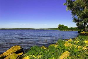 vackert landskap med flod nära skogen foto