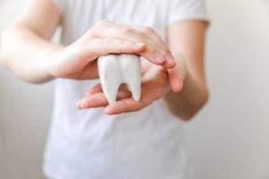 hälsotandvård koncept. kvinna hand som håller vita friska tand modell isolerad på vit bakgrund. tandblekning, tandmunhygien, tandrestaurering, tandläkardag. foto