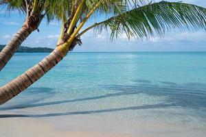 landskap av kokospalmer på stranden och blått hav på sommaren foto