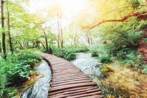 plitvice lakes nationalpark, turistväg på trägolvet längs vattenfallet foto