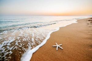 sjöstjärna på stranden. romantisk komposition foto
