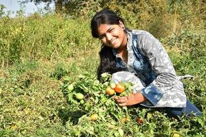 glad ung kvinna som plockar eller undersöker färska tomater i ekologisk gård eller åker foto