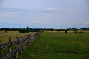 ranch och landskap foto