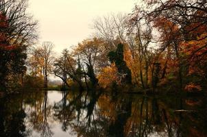 färgglad höstskog med sjö med reflektion foto