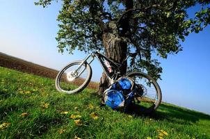 mountainbike med träd på hösten foto