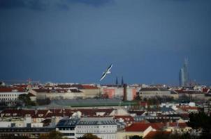vit fågel och staden Wien foto