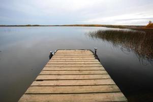 docka vid mustus sjö i äng sjö park foto