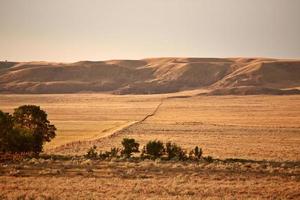 stora leriga dalen i saskatchewan foto