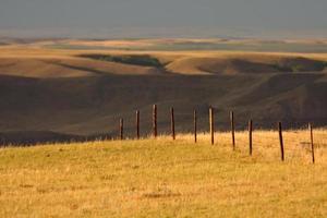 stora leriga dalen i saskatchewan foto