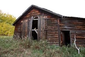 övergiven hembygdsgård i alberta foto