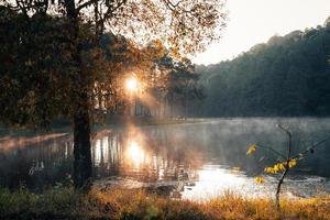 vacker natur sjö och skog på morgonen foto