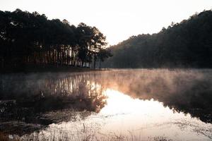 vacker natur sjö och skog på morgonen foto