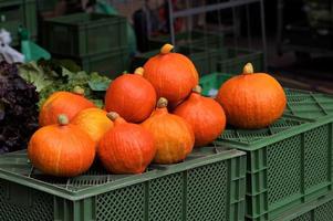 röd kuri squash eller hokkaido pumpor foto