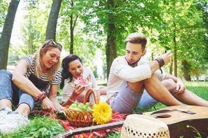 grupp vänner som har picknick i en park en solig dag - folk umgås, har roligt medan de grillar och kopplar av foto