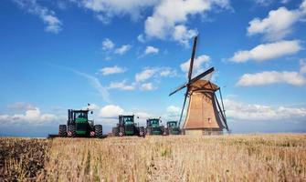 vägen som leder till de holländska väderkvarnarna från agrofältet. holland. foto