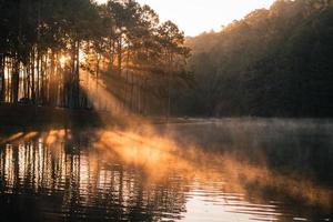 vacker natur sjö och skog på morgonen foto