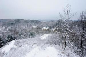 vinterlandskap. snö täckte alla träd. snön ligger på grenarna. foto