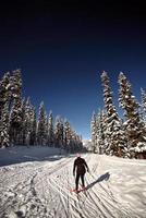 längdskidåkare njuter av vintern foto
