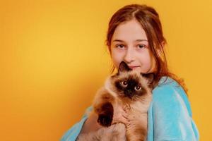 tonåring och husdjur. en tjej i en blå huvtröja med en neva maskerad color point cat. foto