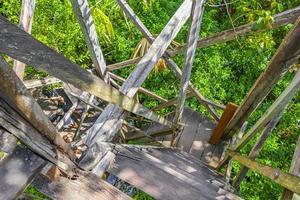 trä utsiktsplats torn tropisk djungel till muyil lagun panorama mexico. foto