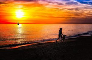 flicka med hund på stranden foto