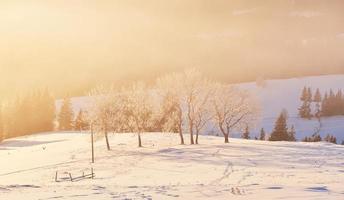 det mystiska vinterlandskapet är majestätiska berg på vintern. fantastisk solnedgång. foto vykort. karpaterna. ukraina