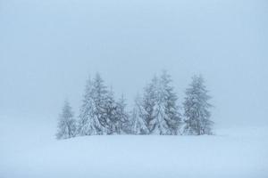 fantastiskt vinterlandskap. på semestern. den dramatiska scenen. karpaterna, ukraina, europa. gott nytt år foto