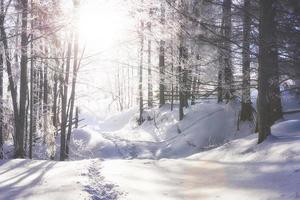 vintervägen. dramatisk scen. karpaterna i Ukraina foto