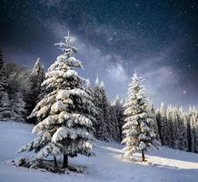 magiska vinter snötäckta träd. vinterlandskap. vintersjön är frusen på framsidan foto