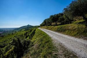 2021 10 16 soave olivträd och slott 1 foto