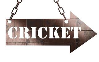 cricket ord på metall pekaren foto