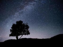 landskap med nattstjärnhimmel och siluett av träd på kullen. Vintergatan med ensamt träd, fallande stjärnor. foto